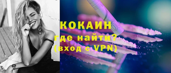 гидра Володарск