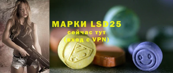 хмурый Вяземский