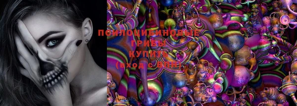 хмурый Вяземский