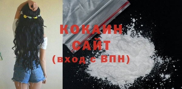 хмурый Вяземский