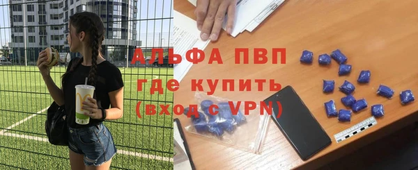 гидра Володарск