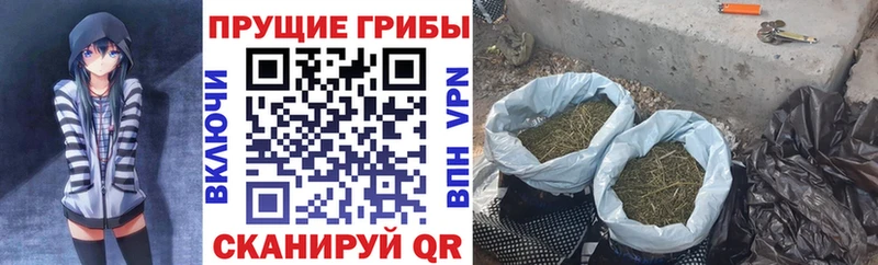 Псилоцибиновые грибы Magic Shrooms  KRAKEN   Ипатово 